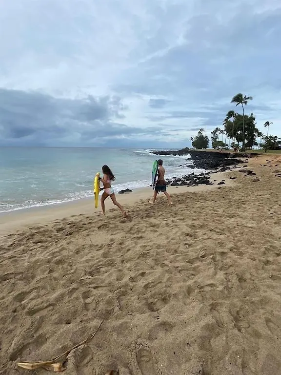 Honu He'E Nalu - The Surfing Turtle - Ocean & Beachfront! Stunning Views! Koloa United States
