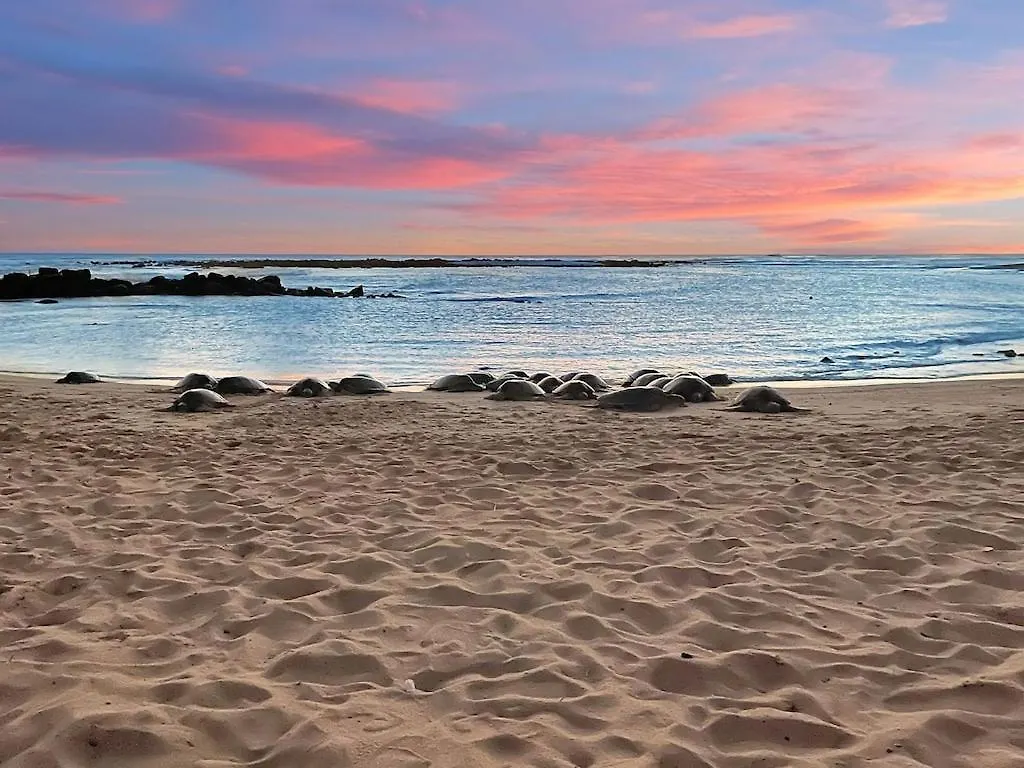 Honu He'E Nalu - The Surfing Turtle - Ocean & Beachfront! Stunning Views! Koloa 0*,  United States